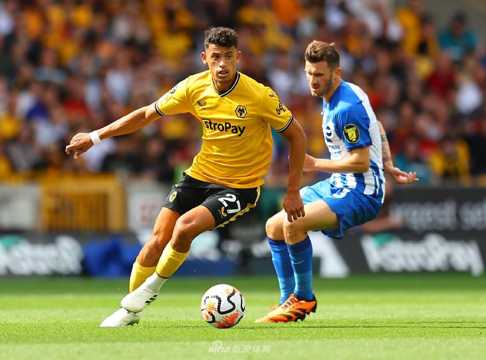 医疗团队的 医疗团队的